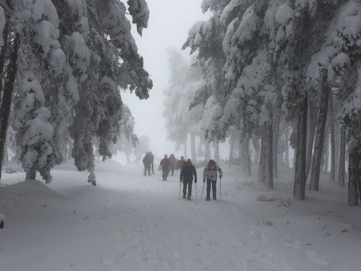 EXCURSION RAQUETAS DE NIEVE MADRID